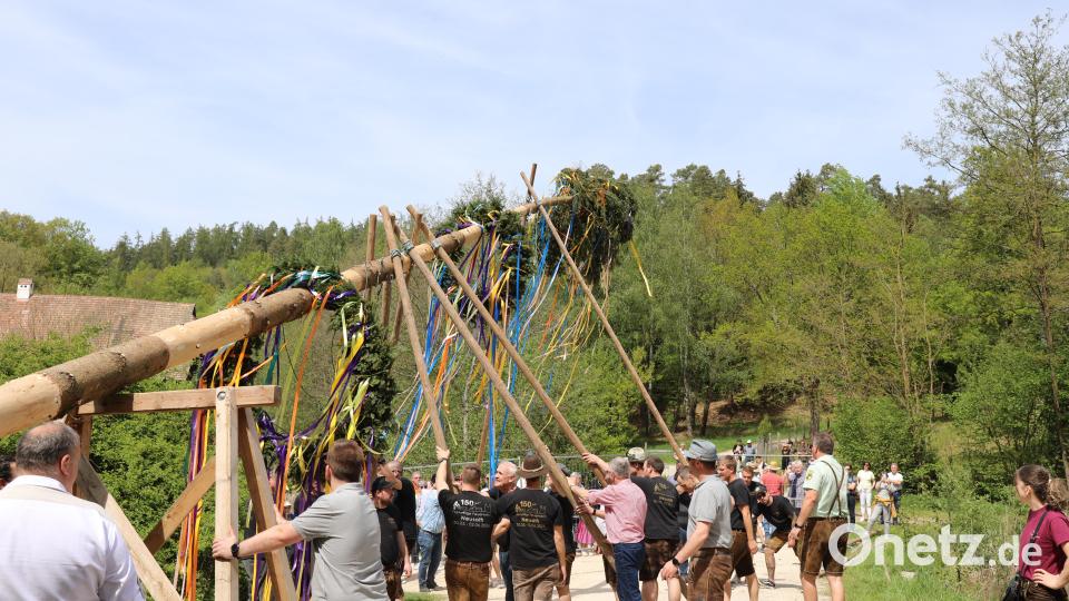Maibaum schmücken im Freilandmuseum Oberpfalz. Bild: Eva Gröninger