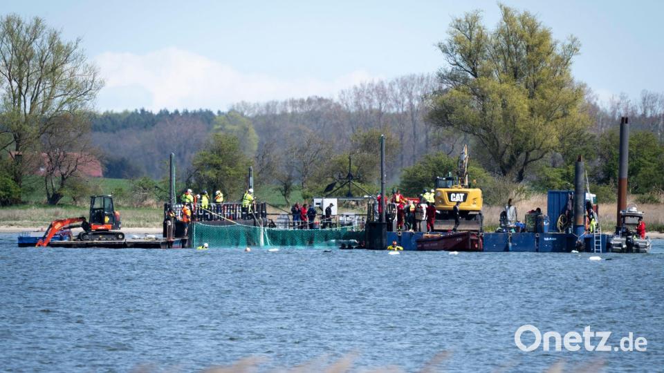 Das Netz ist runter: die Reise für den Buckelwal kann losgehen Bild: Philip Dulian/dpa