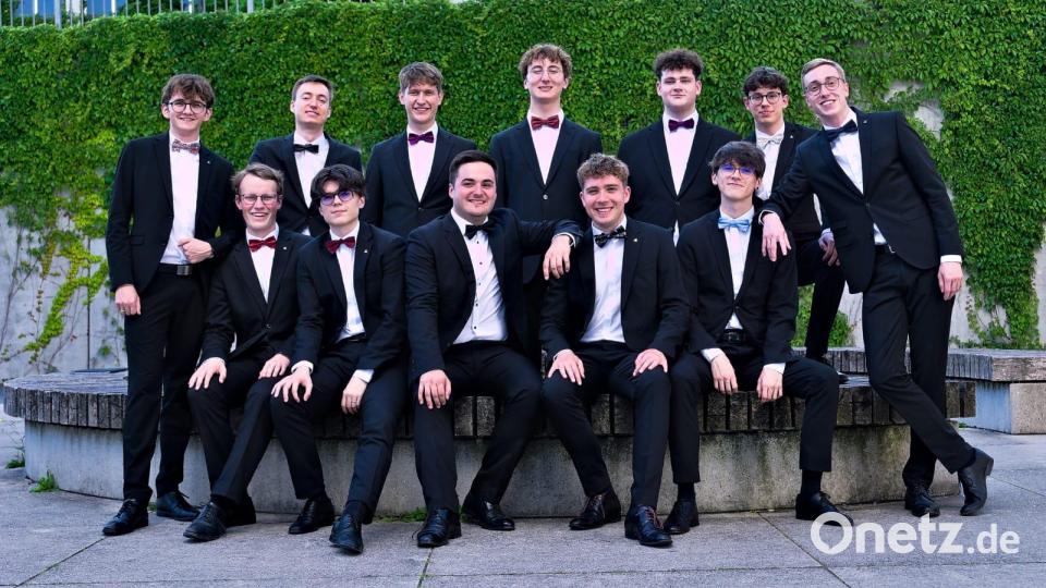 Das Ensemble Classico in Aktion. Bild: Johannes Faerber