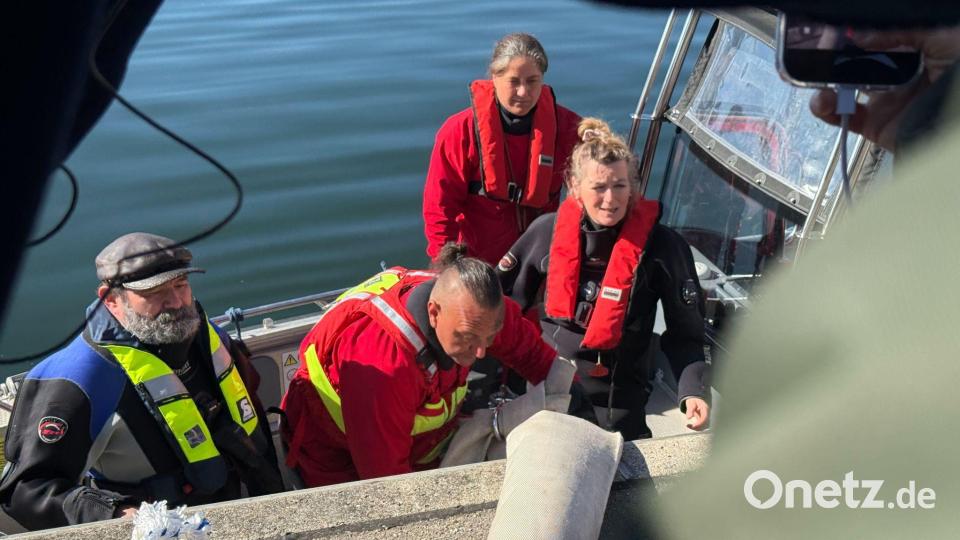 Helfer besteigen ein Boot, um zum Wal hinauszufahren. Bild: Helena Dolderer/dpa