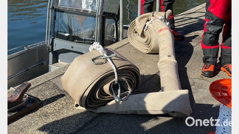 Die Behörden haben grünes Licht für die Benutzung von Gurten gegeben, um den Wal zum Transportschiff zu führen. Bild: Helena Dolderer/dpa