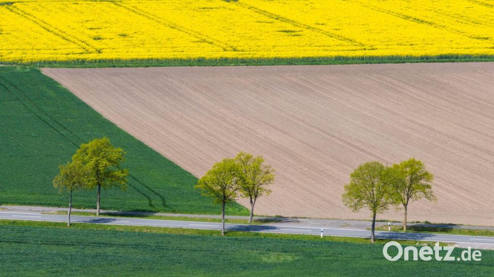 Trockene Landschaft in Niedersachsen Bild: Julian Stratenschulte/dpa