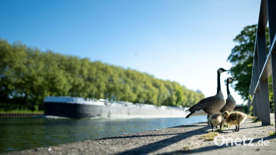 Viel Sonne und Temperaturen über 20 Grad sind in den nächsten Tagen zu erwarten. Bild: Fabian Strauch/dpa