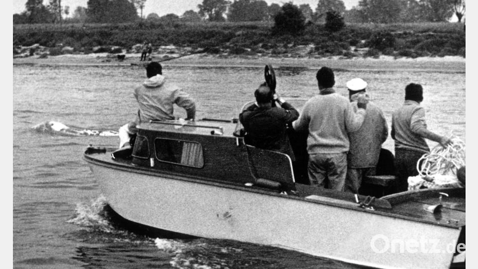Verschiedene Boote waren tagelang auf der Spur des Wals. (Archivbild) Bild: picture alliance / dpa
