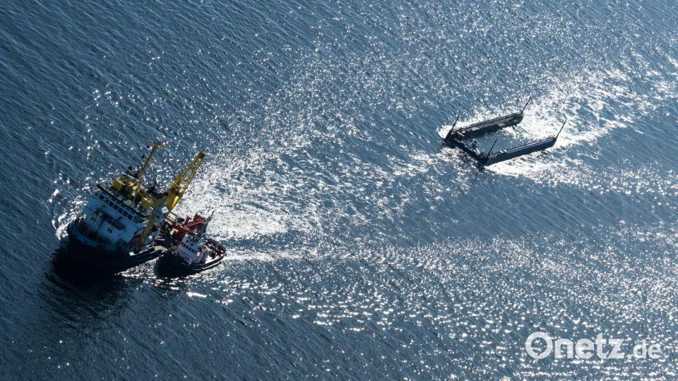 Der Transport bedeutet Experten zufolge unter anderem wegen des Lärms viel Stress. Bild: Philip Dulian/dpa