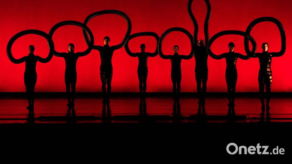 Tänzerinnen und Tänzer von MOMIX führen eine Premiere auf. Bild: Alessandra Tarantino/AP/dpa