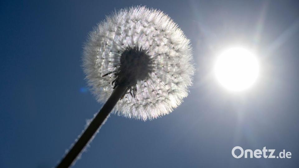 Sonne satt ist für die kommenden Tage in Bayern angekündigt. (Archivbild) Bild: Stefan Puchner/dpa