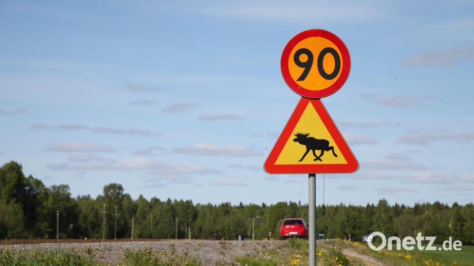 Ein Straßenschild warnt im Norden von Schweden vor Elchen. (Illustration) Bild: Steffen Trumpf/dpa