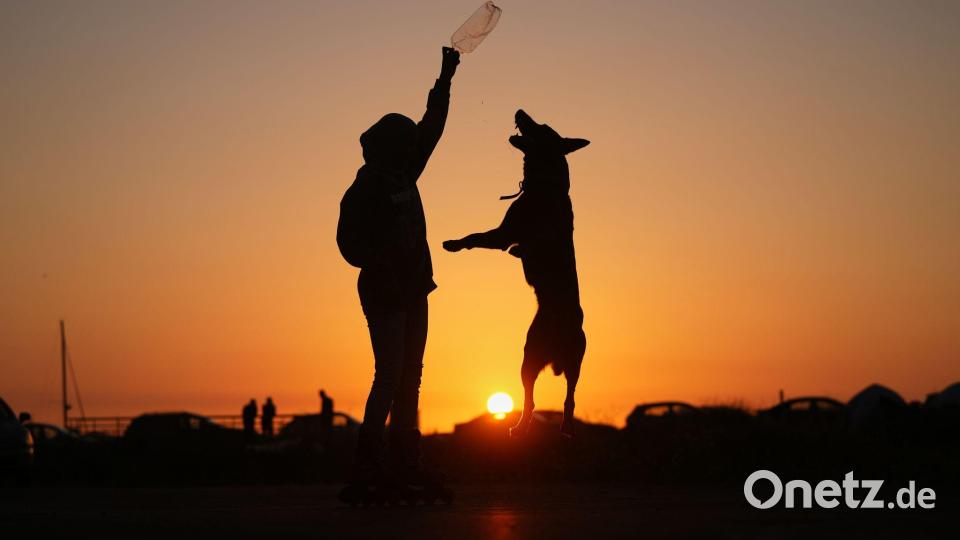 Sidra Mohamad Saadeh, 13, die durch israelische Luftangriffe in Dahija, den südlichen Vororten Beiruts, vertrieben wurde, spielt bei Sonnenuntergang mit einem Hund namens Rocky auf einem öffentlichen Platz an der Beiruter Uferpromenade. Bild: Hassan Ammar/AP/dpa