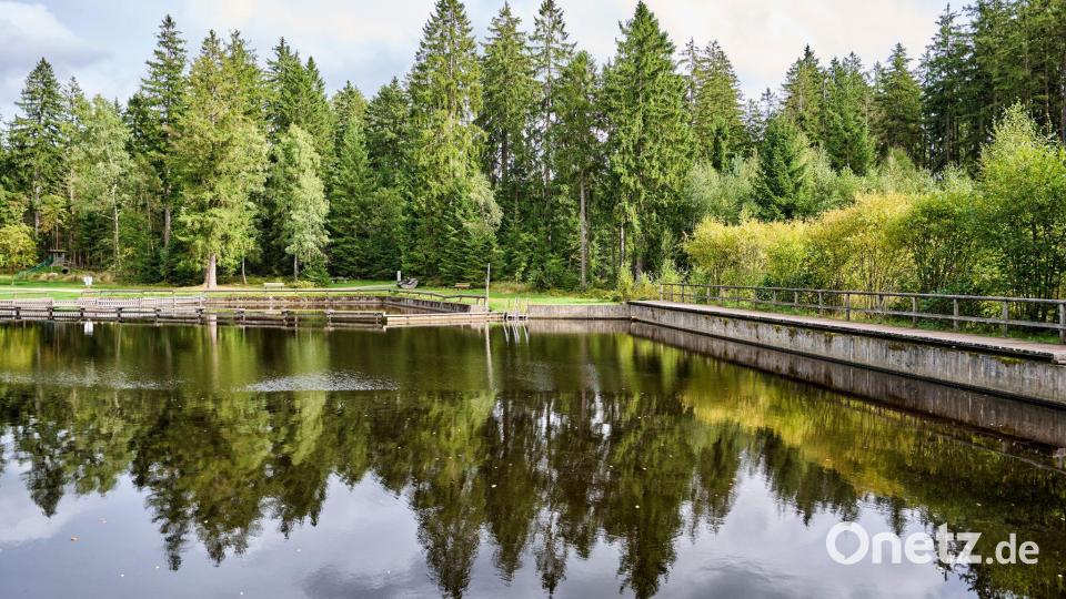Idyllisch mitten im Wald liegt das Moorbad Fleckl am Rand des Ochsenkopfs im Fichtelgebirge. (Handout) Bild: Florian Trykowski/Tourismuszentrale Fichtelgebirge /dpa
