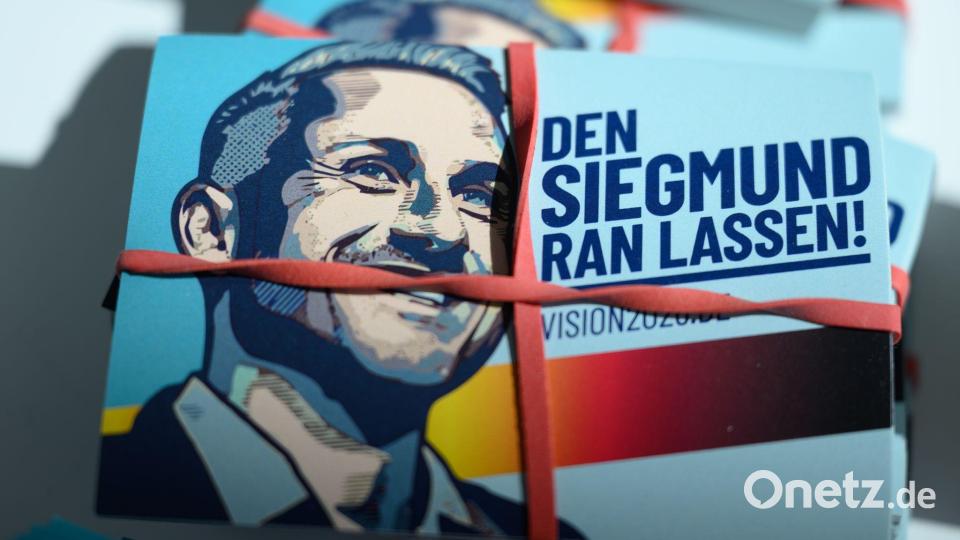 Werbematerial mit AfD-Spitzenkandidat Ulrich Siegmund ist reichlich vorhanden. (Archivbild) Bild: Hendrik Schmidt/dpa