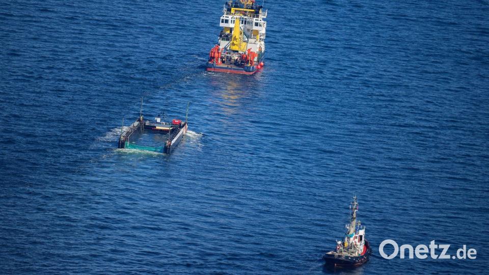 Das Transportschiff mit dem Wal ist seit mehreren Tagen unterwegs. Bild: Christoph Reichwein/dpa