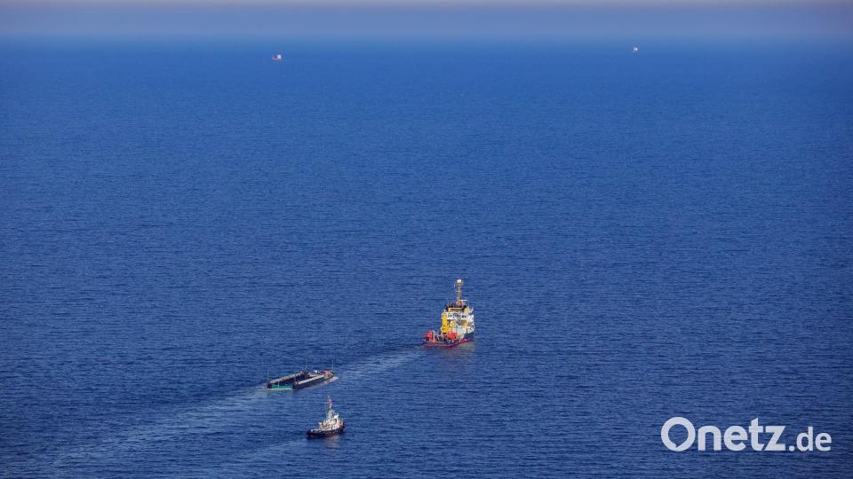 Der lange vor der Ostseeküste festhängende Buckelwal wird nun in einer Wanne Richtung Nordsee transportiert. Bild: Christoph Reichwein/dpa