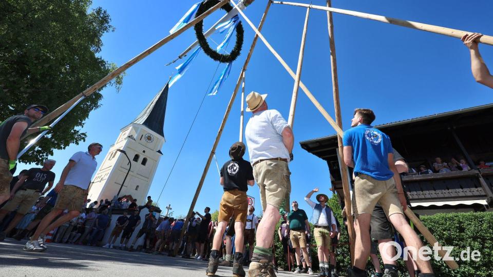 Um einen neuen Maibaum aufzustellen, nutzen die Männer gekreuzte Stangen. (Archivbild) Bild: Karl-Josef Hildenbrand/dpa