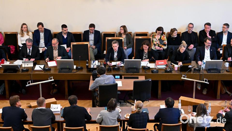 Mit der Leitung von Stadtratssitzungen hat Krause mittlerweile Erfahrung. (Archivbild) Bild: Sven Hoppe/dpa