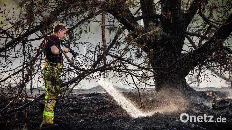 Zur Bekämpfung der Flammen baten die Niederlande nach Angaben der Behörden zum ersten Mal auch andere Länder um Hilfe. Bild: Rob Engelaar/ANP/dpa