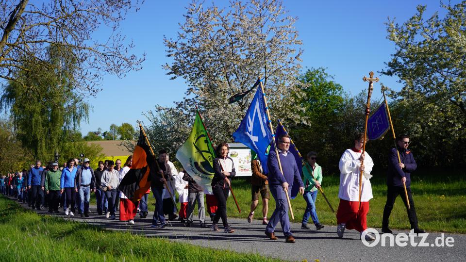 Fahnenabordnungen führen die Wallfahrt von Waldthurn zum Fahrenberg an. Bild: fvo