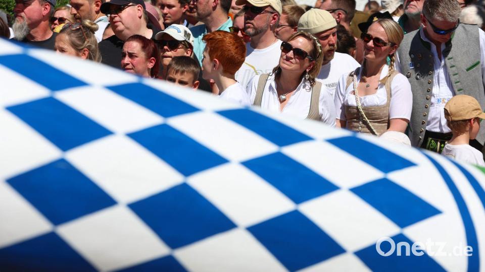 Zahlreiche Zuschauerinnen und Zuschauer beobachten die Aufstellung des neuen Maibaums in Taufkirchen. (Archivbild) Bild: Karl-Josef Hildenbrand/dpa