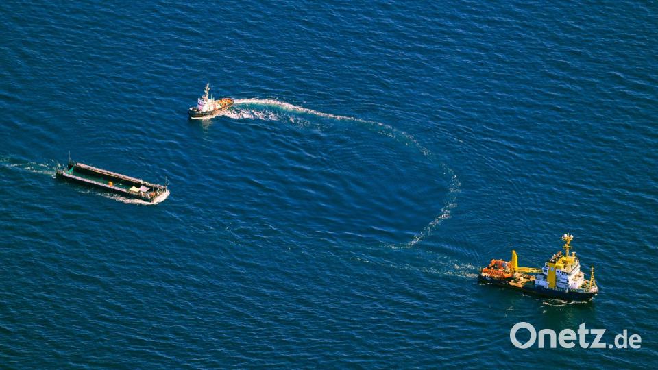 Der Wal wurde freigesetzt. Bild: Christoph Reichwein/dpa