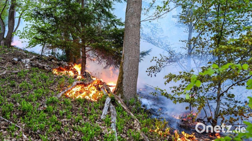 In Werdohl näherten sich die Flammen einer Wohnsiedlung, konnten aber gestoppt werden. Bild: Alex Talash/dpa