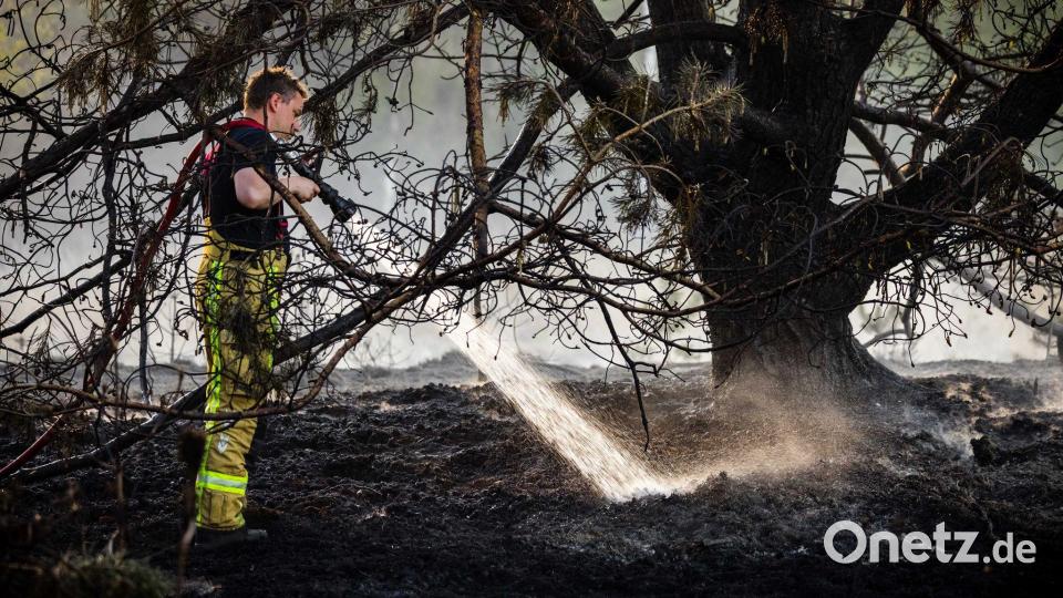 Bei der Brandbekämpfung in den Niederlanden kamen Feuerwehrleute aus mehreren Ländern zum Einsatz. Bild: Rob Engelaar/ANP/dpa