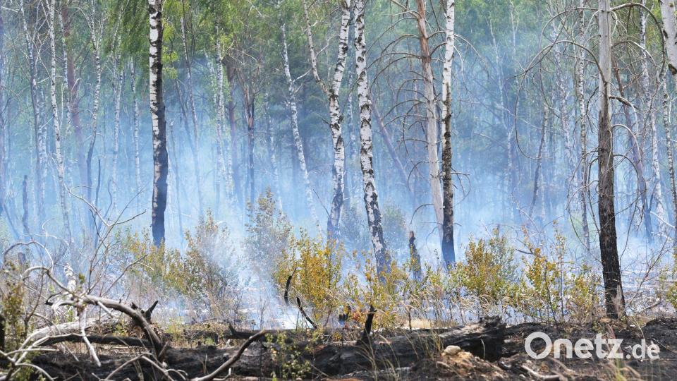 Der Waldbrand auf dem mit Kampfmitteln belasteten Gelände bei Jüterbog ist der bislang größte Waldbrand in dieser Saison in Brandenburg. Bild: Michael Bahlo/dpa