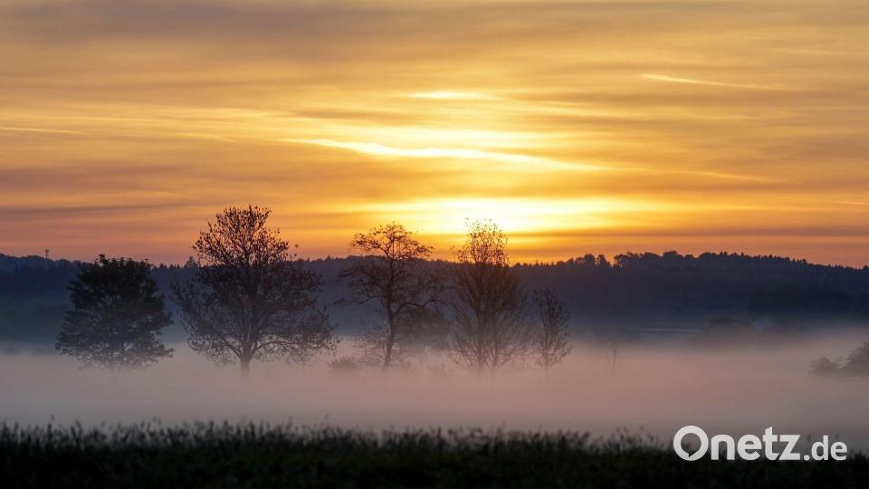 Mystischer Start in den Tag: Bodennebel und Sonnenaufgang in Unlingen Bild: Thomas Warnack/dpa