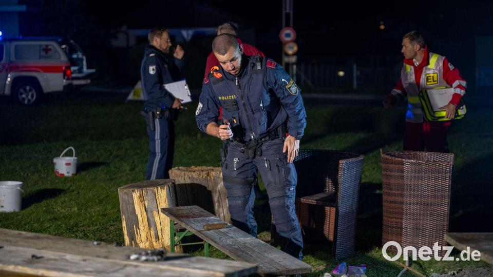 Ermittler müssen noch klären, wie die Kriegsmunition in die Feuerstellen gelangte. Bild: Fotokerschi / Tobias Schartner/APA/dpa