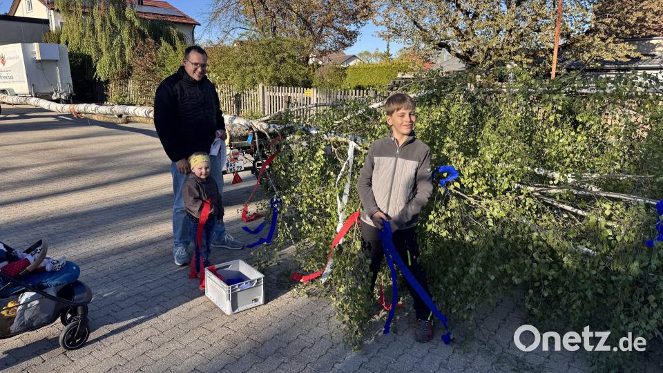 Nach der Ankunft des Maibaums im Feuerwehrhof schmückten Kinder die Äste mit roten, weißen und blauen Bändern, den Farben der Hirschauer Stadtfahne. Bild: Thomas Maier