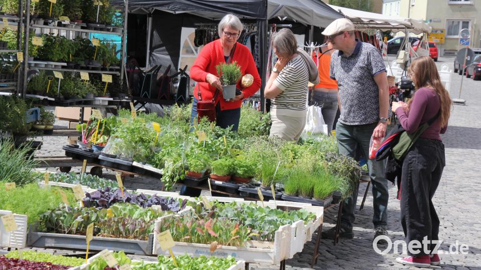 Das Angebot an Kräutern, Pflanzen und Blumen konnte sich sehen lassen. Bild: Konrad Rosner