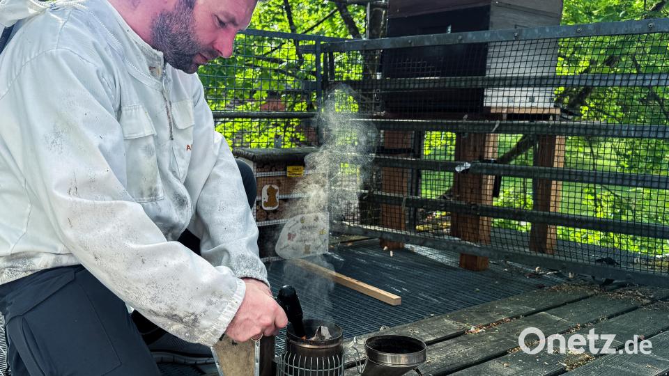 Alexander Lotter schürt an: Der Rauch beruhigt Bienen. Er kommt zum Einsatz, wenn Waben aus dem Bienenstock geholt werden. Bild: Stephan Huber