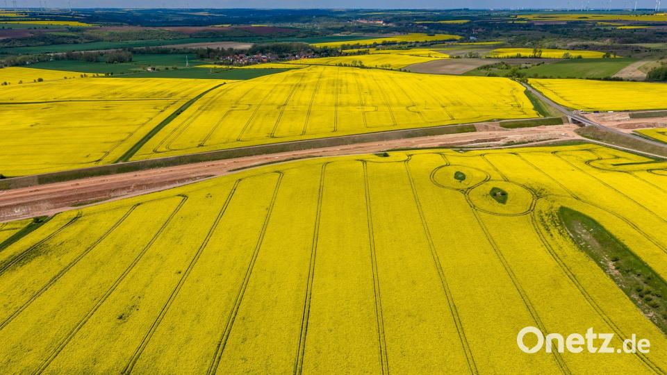 Goldgelb leuchten Rapsfelder im Saalekreis in Sachsen-Anhalt. Bild: Jan Woitas/dpa