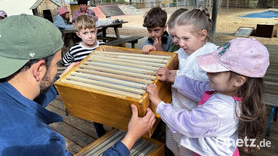 Von 4. bis 8. Mai ist Bienenwoche im Kindergarten "An der Allee" – heuer findet sie zum zweiten Mal statt. An vier Stationen mit Schaukästen und anderen Utensilien geben Mitglieder des Bienenzuchtvereins (hier Stefan Hubmann) Wissen weiter. Bild: Stephan Huber