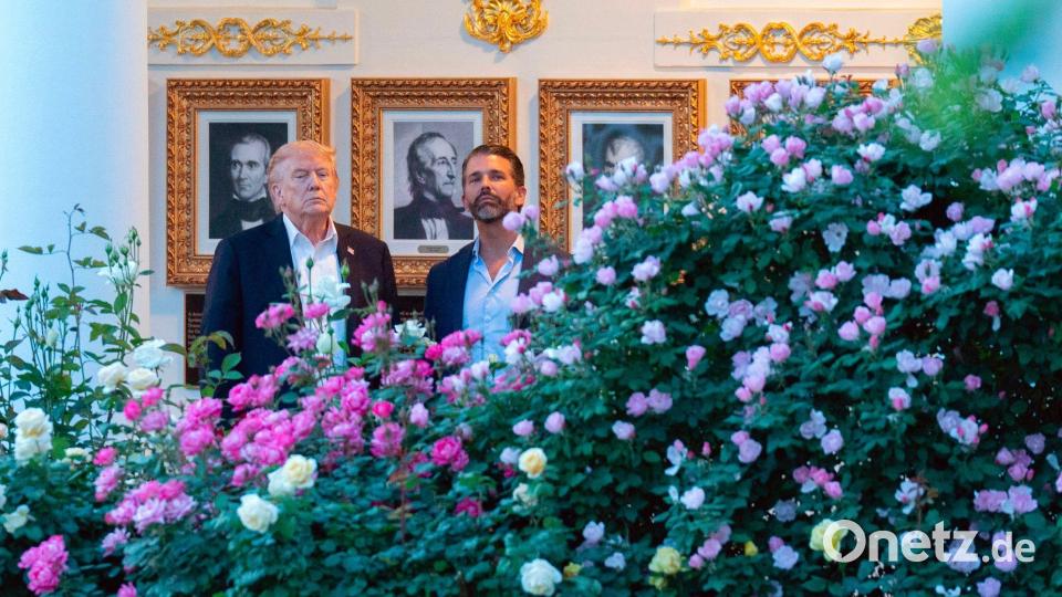 US-Präsident Donald Trump und Donald Trump Jr. stehen im Rosengarten des Weißen Hauses. Bild: Jose Luis Magana/AP/dpa