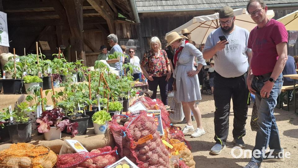 Kartoffel gehörten beim Frühjahrsmarkt auch zum Sortiment. Bild: jua