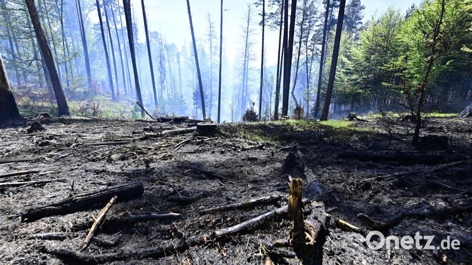 Der Brand im Nationalpark Böhmische Schweiz ist nicht unter Kontrolle. Bild: Hájek Ondøej/CTK/dpa