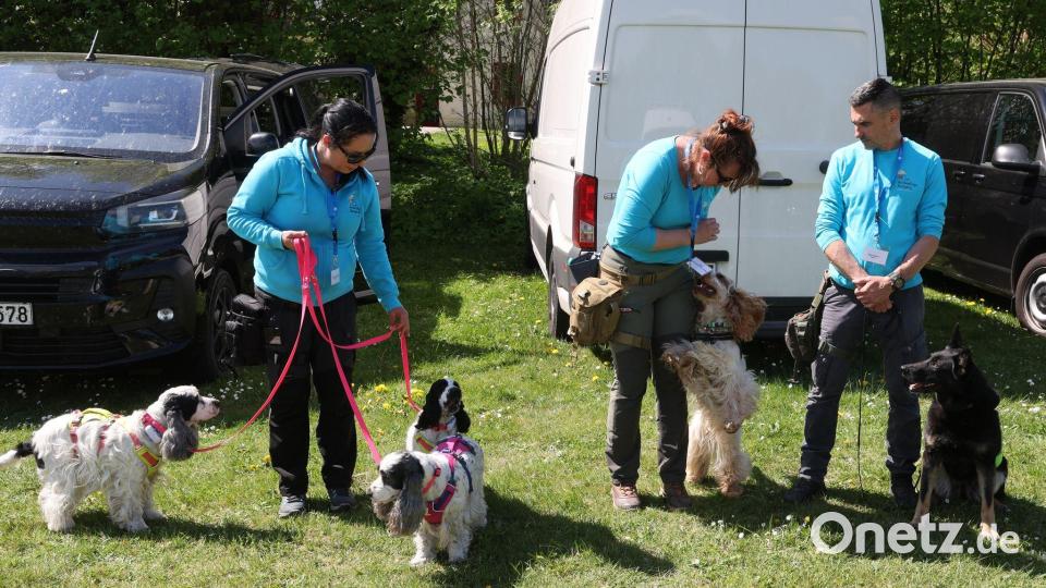Bargeld- und Goldspürhunde sind im Einsatz. Bild: Bernd Wüstneck/dpa
