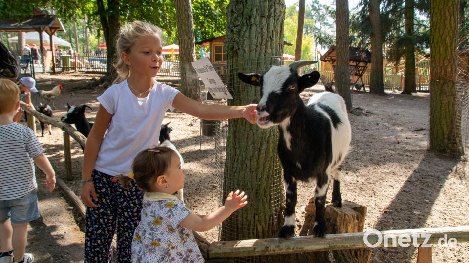 Im Freizeit-Land Geiselwind gibt es übrigens auch einen Tierpark. Bild: Freizeit-Land Geiselwind
