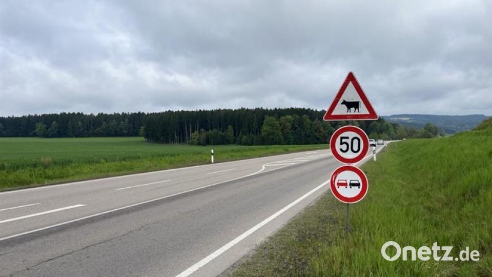 Mehrere Schilder warnen die Verkehrsteilnehmer auf der Bundesstraße B22 bei Oberviechtach am 6. Mai 2026 vor der Gefahr durch entlaufene Rinder. Eine Geschwindigkeitsbegrenzung auf 50 Kilometer pro Stunde und ein Überholverbot sollen die Unfallgefahr verringern. Bild: Kai Gohlke