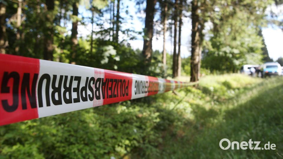 Hier wurde Peggys Leichnam 2016 gefunden. (Archivbild) Bild: Bodo Schackow/dpa-Zentralbild/dpa