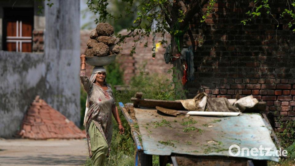 Eine Frau in Indien trägt Kuhmist, der meist als Bau- oder Brennmaterial verwendet wird, in einem Korb auf dem Kopf. Bild: Channi Anand/AP/dpa