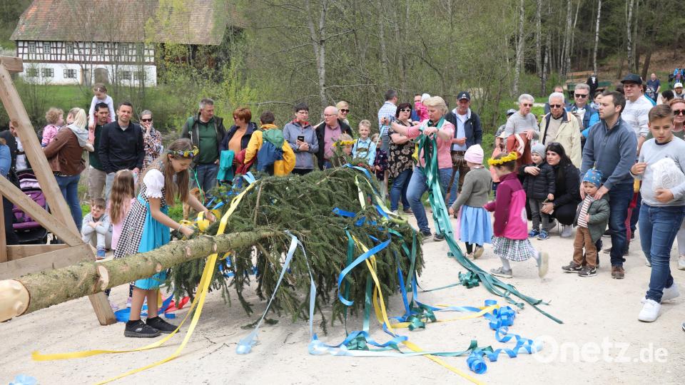 Maibaum schmücken im Freilandmuseum Oberpfalz. Bild: Felix Schäffer