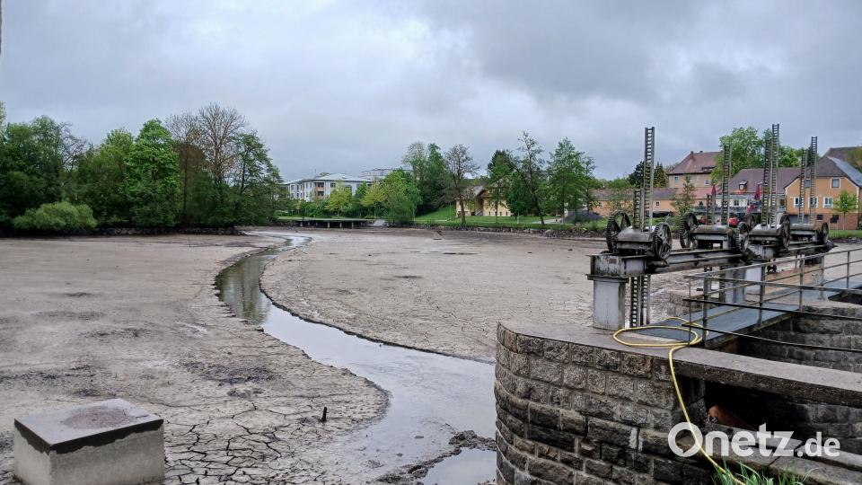 Der Stadtweiher, sonst das wasserreichste Gewässer der Stadt Kemnath, liegt seit einigen Tagen trocken. Grund sind Sanierungsarbeiten. Bild: szl