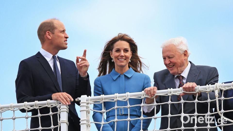 Prinz William baute im Laufe der Zeit eine enge Beziehung zu Attenborough auf. (Archivbild) Bild: Peter Byrne/PA Wire/dpa