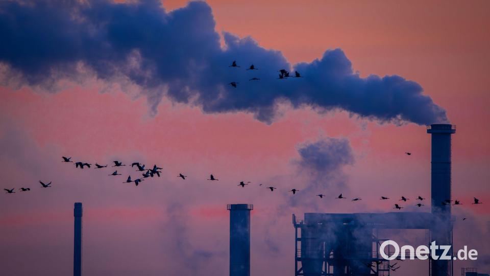Die Industrieproduktion in Deutschland schrumpft Bild: Jens Büttner/dpa