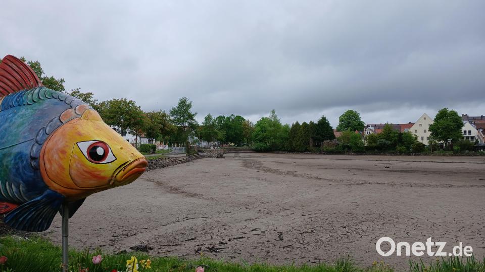 Der Stadtweiher, sonst das wasserreichste Gewässer der Stadt Kemnath, liegt seit einigen Tagen trocken. Grund sind Sanierungsarbeiten. Bild: szl