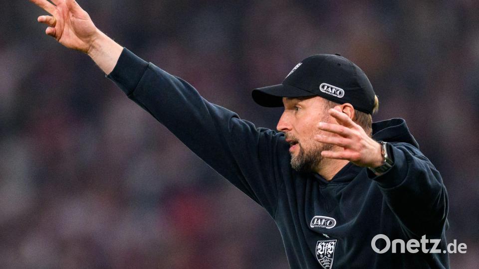 VfB-Trainer Sebastian Hoeneß möchte seine Stuttgarter in die Champions League dirigieren. (Archivbild). Bild: Tom Weller/dpa