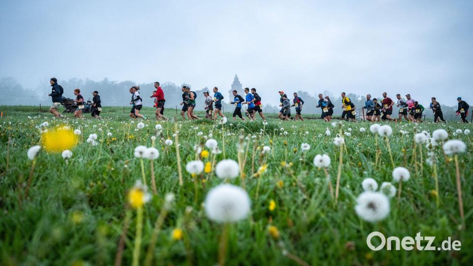 Durch die Botanik: Läufer sind beim Rennsteiglauf auf der Supermarathonstrecke bei Eisenach unterwegs. Bild: Jacob Schröter/dpa