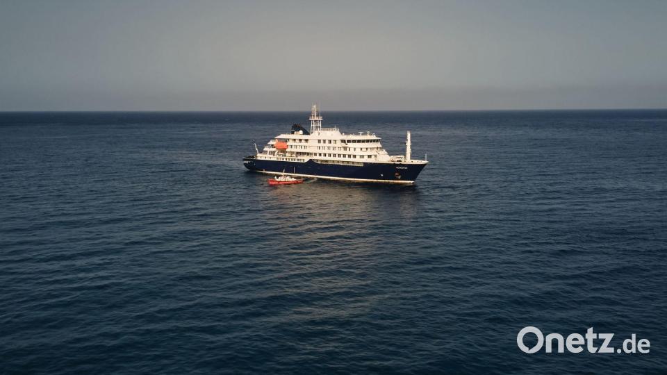 Bei Passagieren des niederländischen Kreuzfahrtschiffs „Hondius“ wurden spezifische Hantaviren nachgewiesen. Bild: Arilson Almeida/AP/dpa