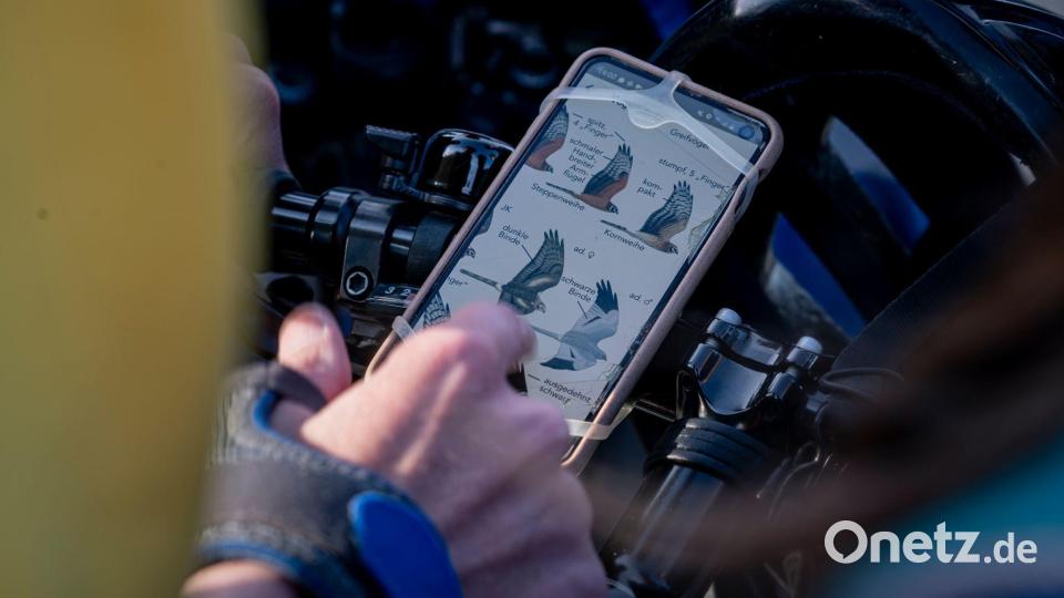 Vogel-Bestimmung via Smartphone. Bild: Fabian Sommer/dpa